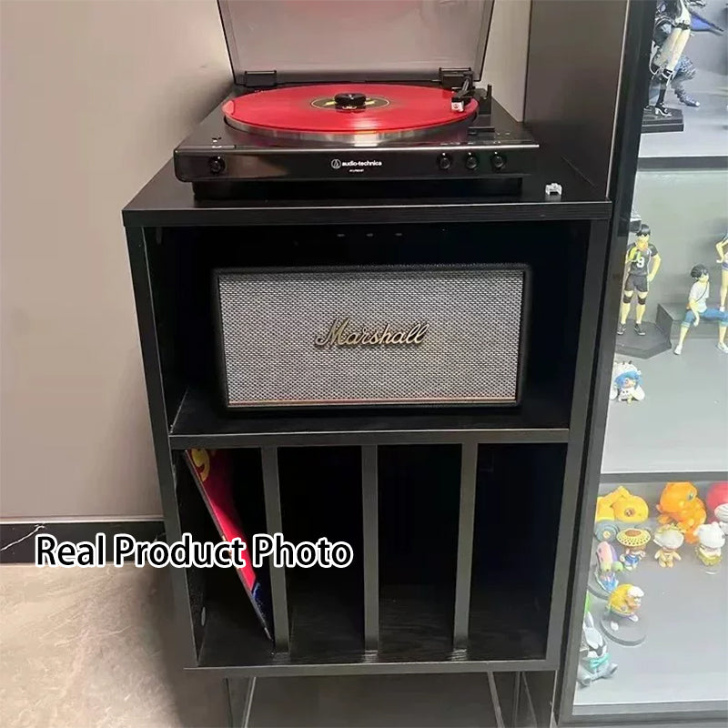 Modern Minimalist Rectangular Particle Board Metal Vinyl Record Storage Cabinet 2-Tier For Living Room