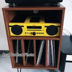Modern Minimalist Rectangular Particle Board Metal Vinyl Record Storage Cabinet 2-Tier For Living Room