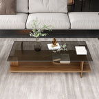 Modern Minimalist Tempered Glass & Particle Board Rectangular Coffee Table 2-Tier For Living Room