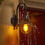 Lámpara de pared exterior de 1 luz con pantalla de trompeta de aluminio y vidrio de simplicidad contemporánea para jardín