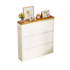 Modern Minimalist Steel Slim Rectangular Shoe Storage With Flip Drawers 3/4 Tier For Entryway