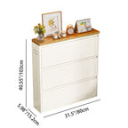 Modern Minimalist Steel Slim Rectangular Shoe Storage With Flip Drawers 3/4 Tier For Entryway