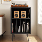 Modern Minimalist Rectangular Particle Board Metal Vinyl Record Storage Cabinet 2-Tier For Living Room