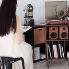 Modern Minimalist Rectangular Particle Board Metal Vinyl Record Storage Cabinet 2-Tier For Living Room