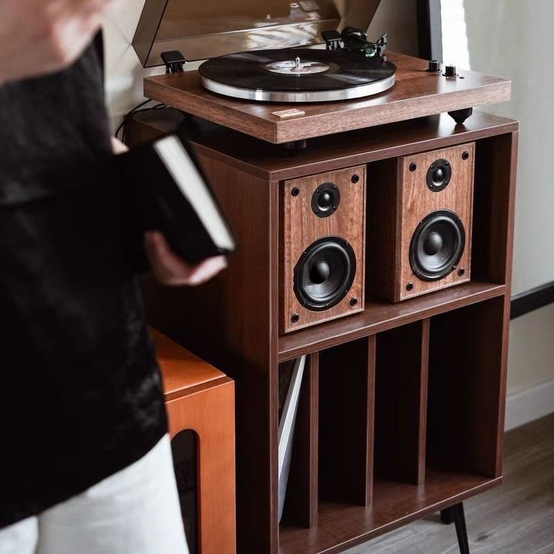 Modern Minimalist Rectangular Particle Board Metal Vinyl Record Storage Cabinet 2-Tier For Living Room