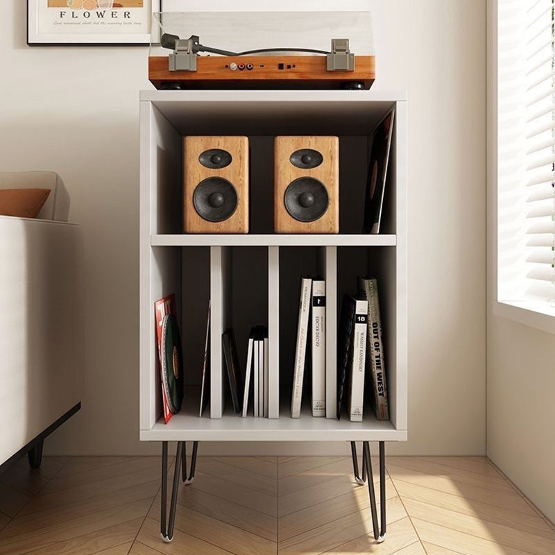 Modern Minimalist Rectangular Particle Board Metal Vinyl Record Storage Cabinet 2-Tier For Living Room