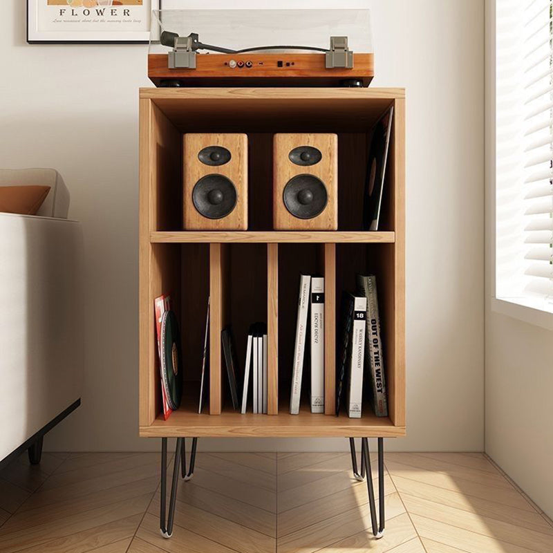 Modern Minimalist Rectangular Particle Board Metal Vinyl Record Storage Cabinet 2-Tier For Living Room