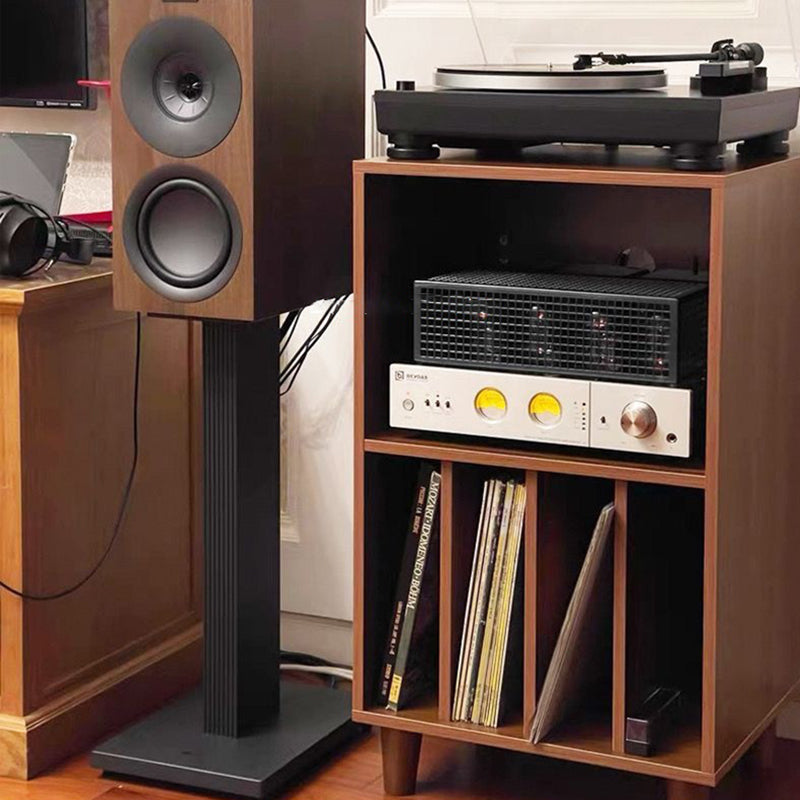 Modern Minimalist Rectangular Particle Board Metal Vinyl Record Storage Cabinet 2-Tier For Living Room