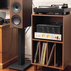 Modern Minimalist Rectangular Particle Board Metal Vinyl Record Storage Cabinet 2-Tier For Living Room