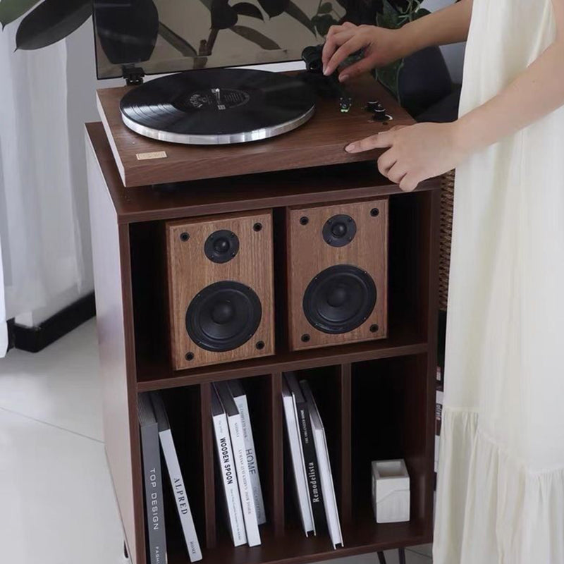 Modern Minimalist Rectangular Particle Board Metal Vinyl Record Storage Cabinet 2-Tier For Living Room