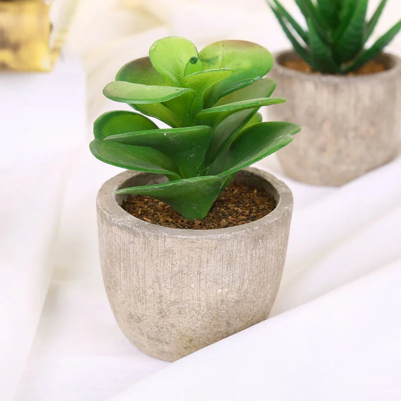 Mini Artificial Succulent Plastic Artificial Bonsai Plants Fake Decorative Ball Plants Simulation Mini Plants for Home Decor