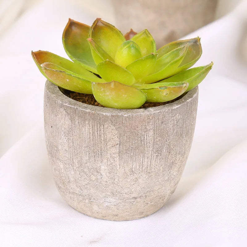 Mini Artificial Succulent Plastic Artificial Bonsai Plants Fake Decorative Ball Plants Simulation Mini Plants for Home Decor