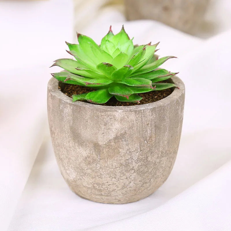 Mini Artificial Succulent Plastic Artificial Bonsai Plants Fake Decorative Ball Plants Simulation Mini Plants for Home Decor
