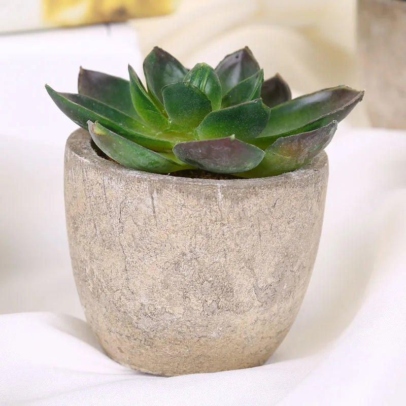 Mini Artificial Succulent Plastic Artificial Bonsai Plants Fake Decorative Ball Plants Simulation Mini Plants for Home Decor