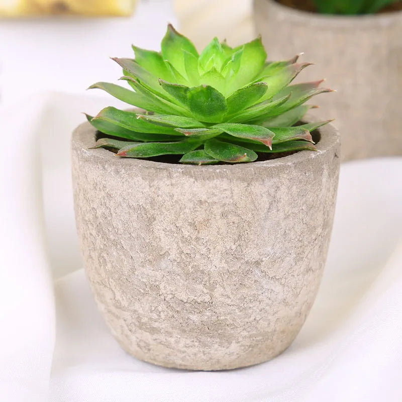 Mini Artificial Succulent Plastic Artificial Bonsai Plants Fake Decorative Ball Plants Simulation Mini Plants for Home Decor