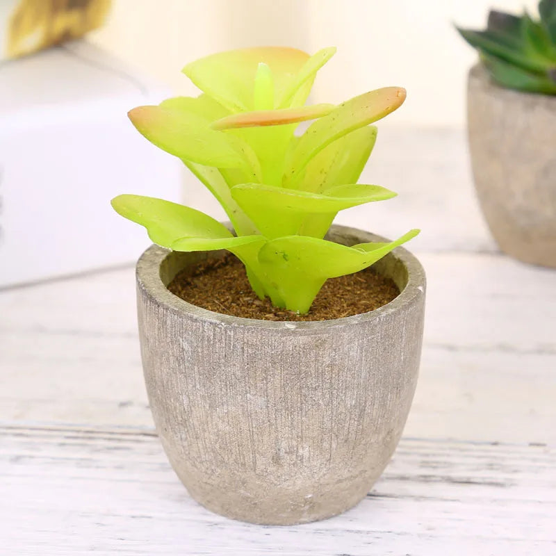 Mini Artificial Succulent Plastic Artificial Bonsai Plants Fake Decorative Ball Plants Simulation Mini Plants for Home Decor