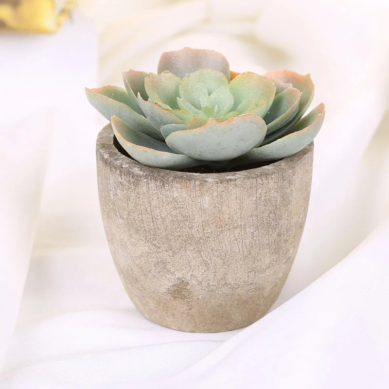Mini Artificial Succulent Plastic Artificial Bonsai Plants Fake Decorative Ball Plants Simulation Mini Plants for Home Decor