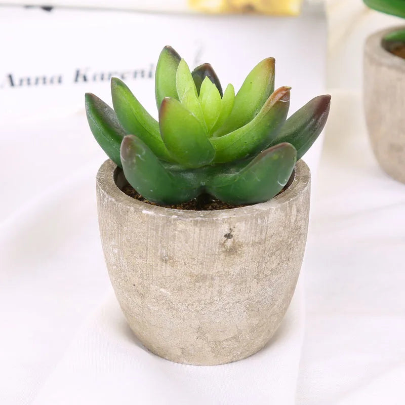 Mini Artificial Succulent Plastic Artificial Bonsai Plants Fake Decorative Ball Plants Simulation Mini Plants for Home Decor