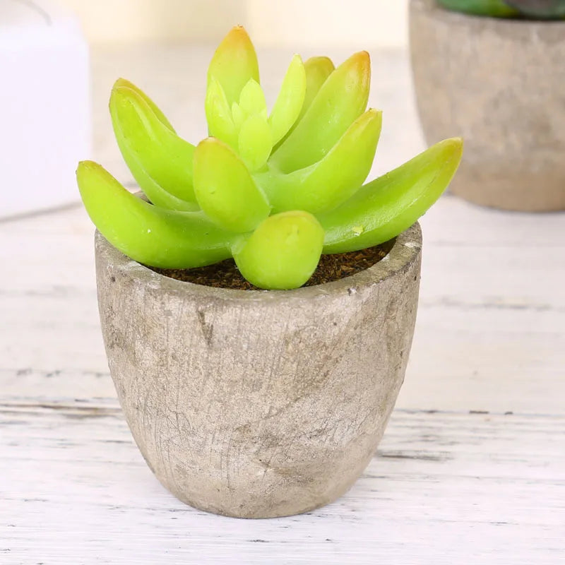 Mini Artificial Succulent Plastic Artificial Bonsai Plants Fake Decorative Ball Plants Simulation Mini Plants for Home Decor