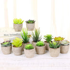 Mini Artificial Succulent Plastic Artificial Bonsai Plants Fake Decorative Ball Plants Simulation Mini Plants for Home Decor