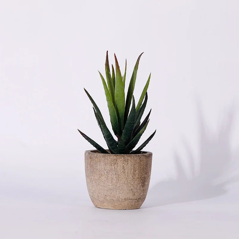 Mini Artificial Succulent Plastic Artificial Bonsai Plants Fake Decorative Ball Plants Simulation Mini Plants for Home Decor
