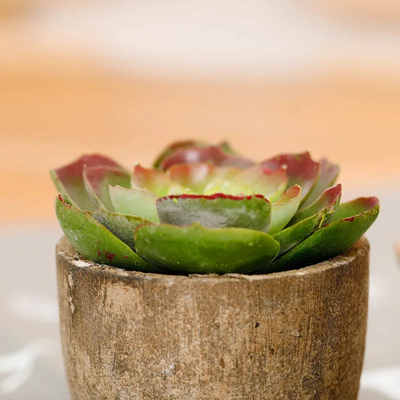 Mini Artificial Succulent Plastic Artificial Bonsai Plants Fake Decorative Ball Plants Simulation Mini Plants for Home Decor