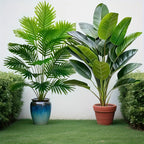 2PC Premium Large Faux Plants Artificial Palm and Banana Tree Set High Quality Realistic Leaves for Home Hotel Decoration