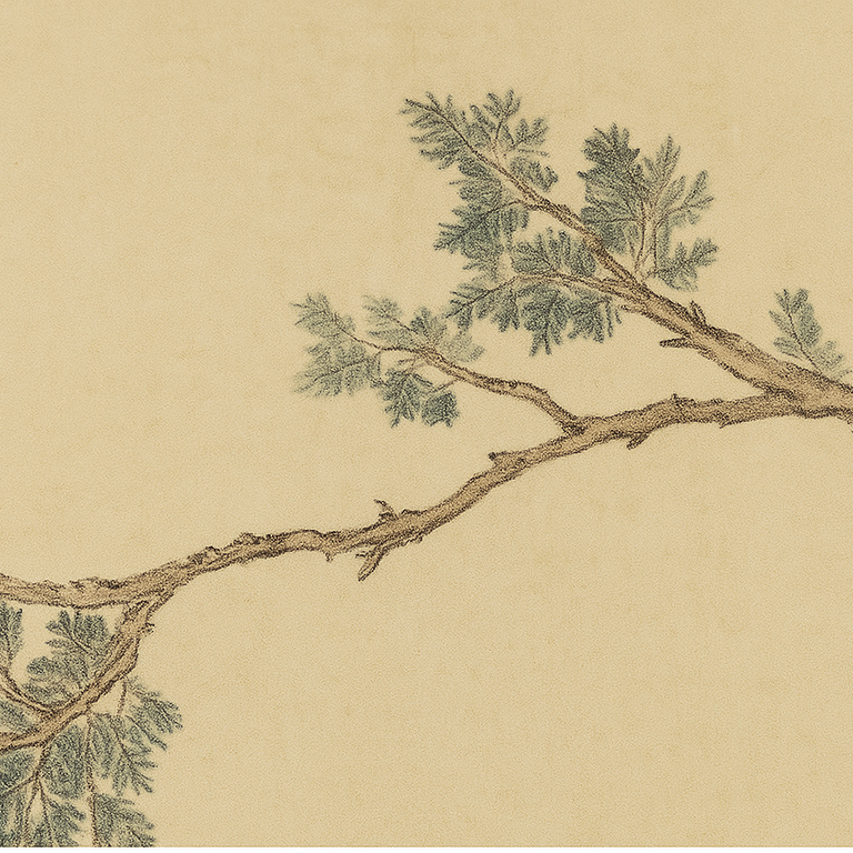 Traditional French Rectangular Fir Wood Solid Wood Plywood Cotton Canvas Floral And Bird Motif Room Divider For Living Room